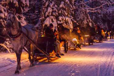 Obóz młodzieżowy, Zakopane 2024 - Zimowisko rekreacyjne (8-13 lat) i  obóz rekreacyjny (14-17 lat)