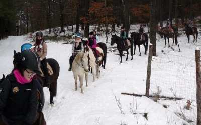 Transport, Przejazd autokarem w dwie strony na obóz do Runowa z wybranych miast:
