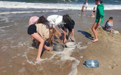 Obóz młodzieżowy, Dąbki - obóz konny nad morzem OW Duet , 10 dni 10-16 lat